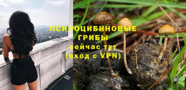 ешки Бородино
