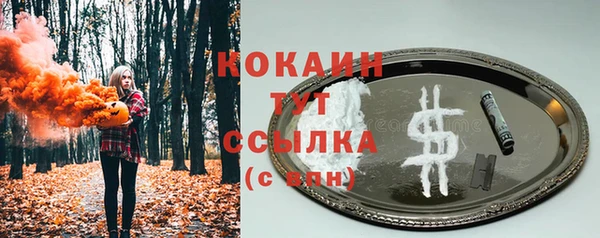 ешки Бородино