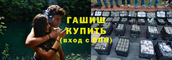 ешки Бородино