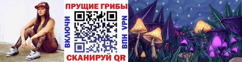 Псилоцибиновые грибы GOLDEN TEACHER  закладки  кракен зеркало  Надым 