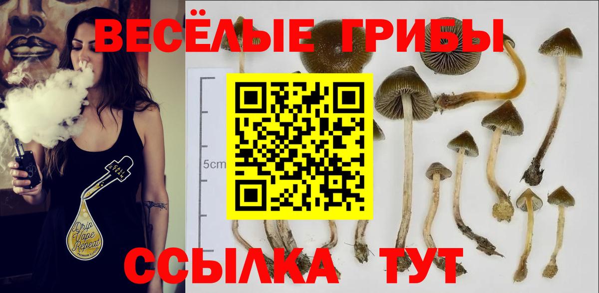 Псилоцибиновые грибы Psilocybine cubensis  Вход с VPN  дарнет шоп  Надым 